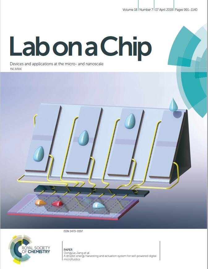 Lab on a chip -1.jpg