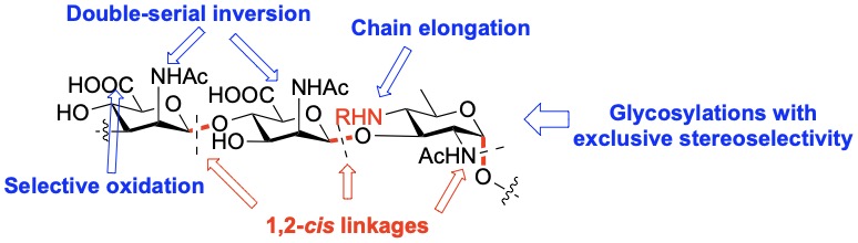 AB5075.jpeg AB5075.jpeg