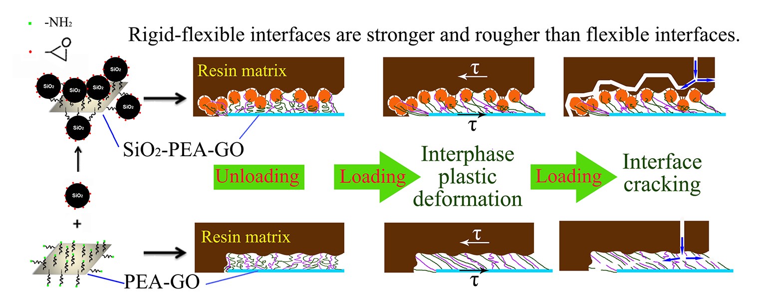 Graphical abstract.jpg