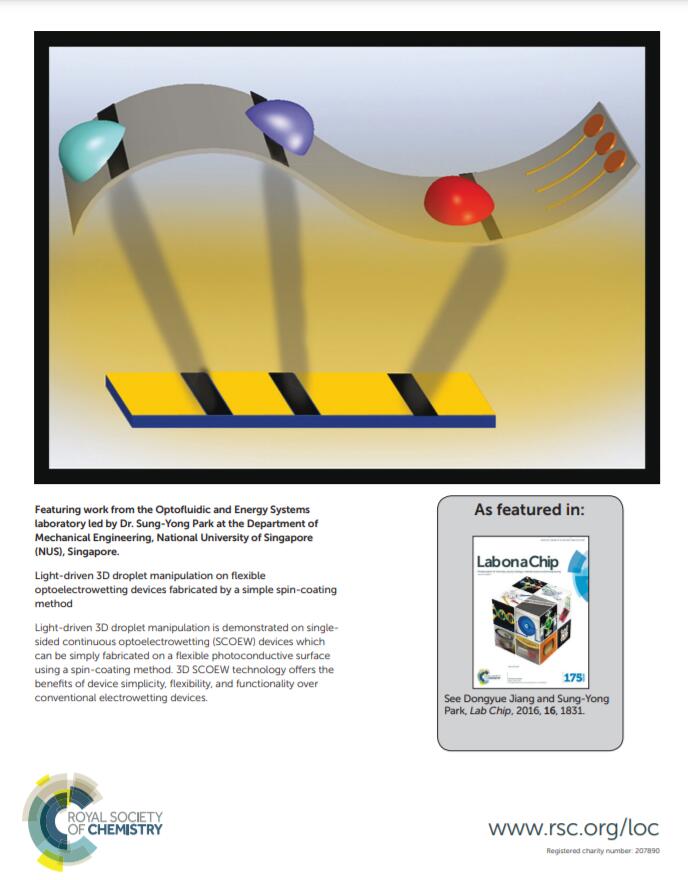 Lab on a chip -2.jpg