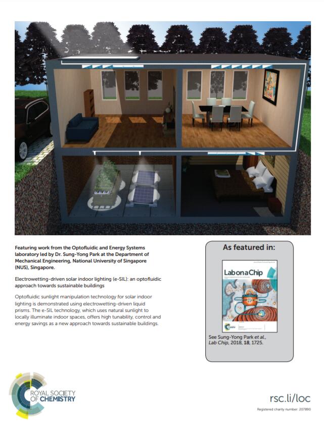 Lab on a chip -3.jpg