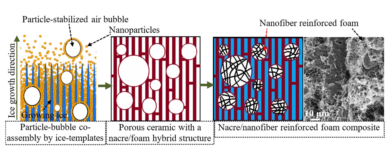 Graphical abstract-1.jpg