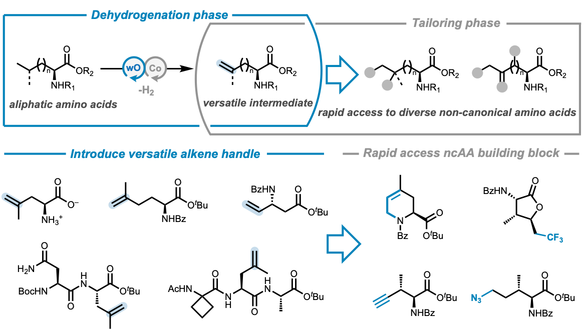 2024-Nature-GuZhang-017c03d5.jpeg 2024-Nature-GuZhang-017c03d5.jpeg