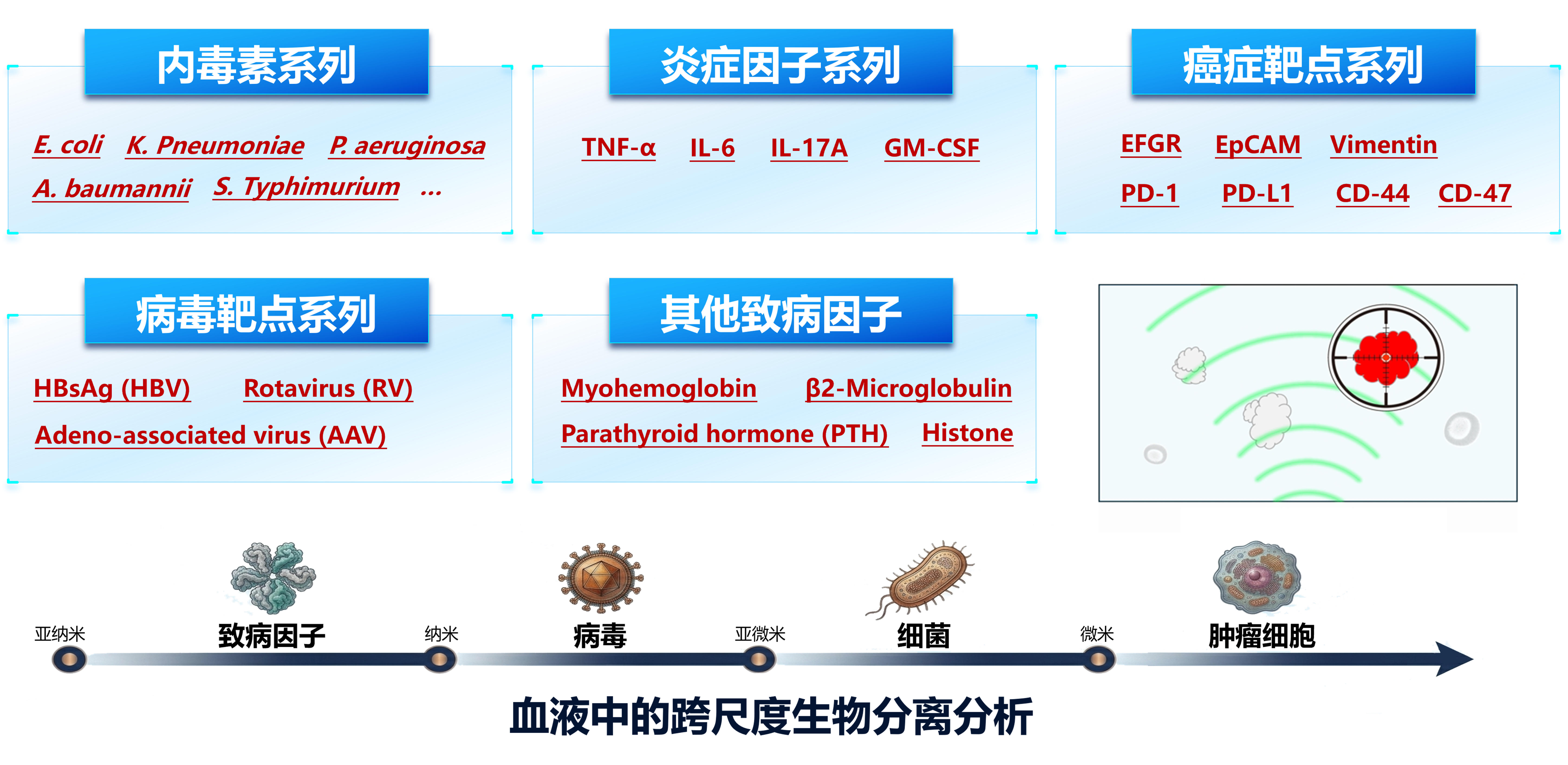 课题组研究方向-靶标分子.png