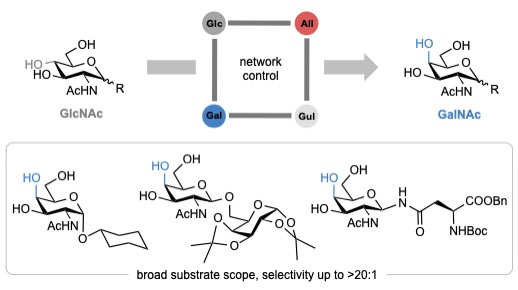 TOC_image.jpeg TOC_image.jpeg