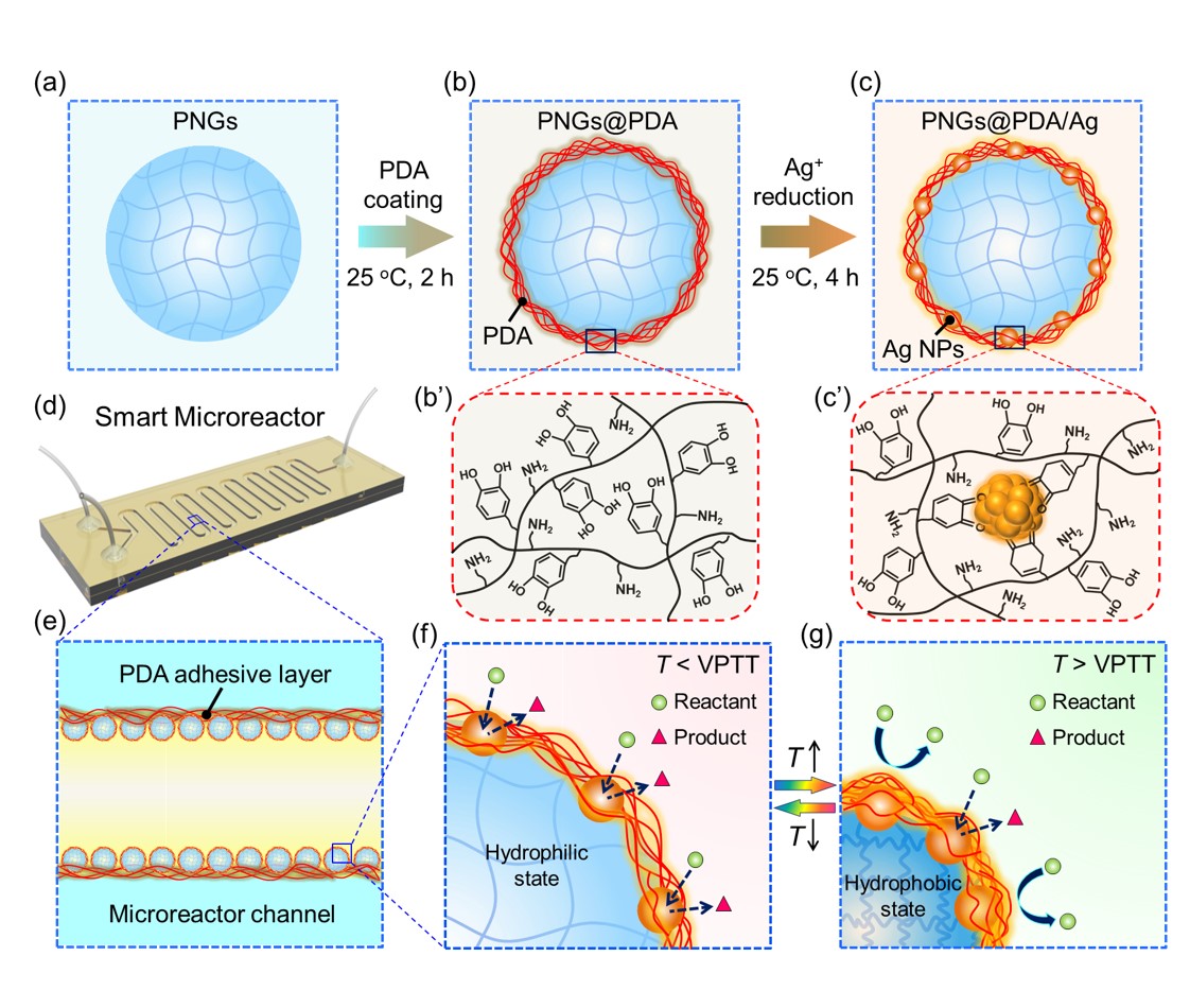Stimuli-responsive nanoreactor.jpg