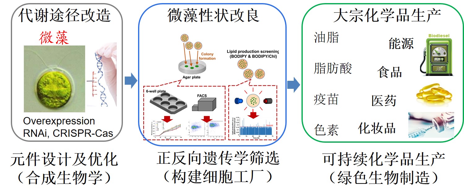 宣传图new.jpg