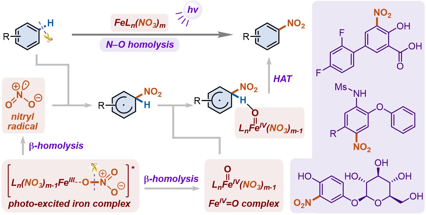LSY-JACS AU.jpg